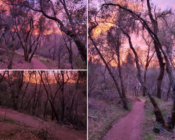 Marshall Gold Discovery SHP (Gam Saan Trail collage)