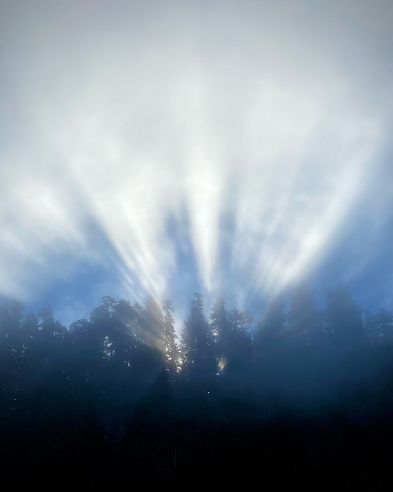 Del Norte Coast Redwoods State Park_rising sun