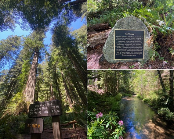 Prairie Creek Trail_collage
