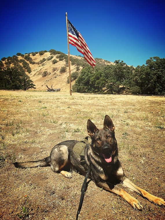 Fort Tejon SHP_K-9 Oz