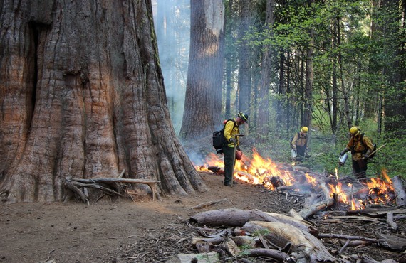 Firing around post 2_a