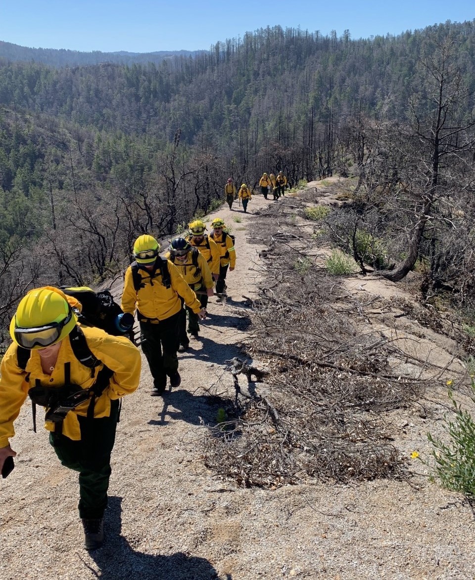 Dozer line repair.joe fayer