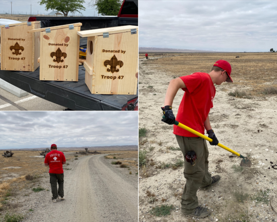 Tule Elk SNR (Collage)