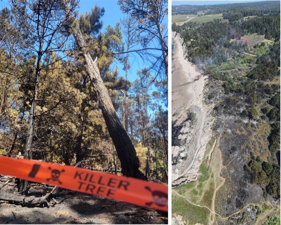 Owens Fire Collage 2