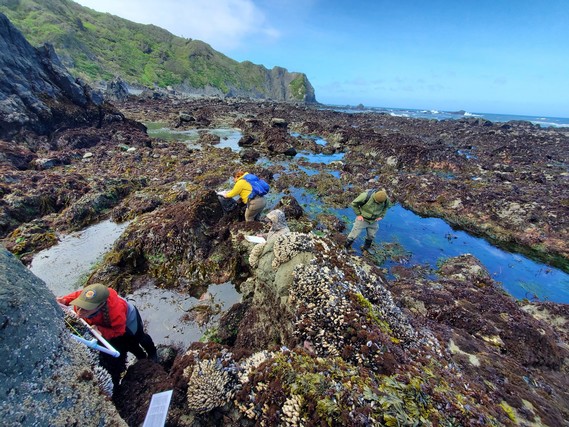 Sue-meg SP_intertidal monitoring