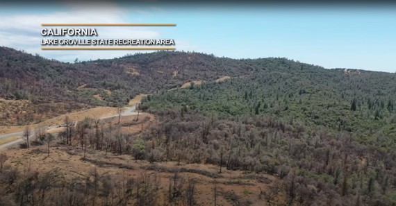 STIHL Screenshot for video 