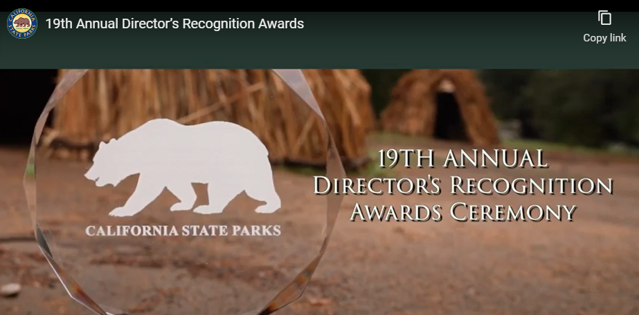 Director's awards video screenshot
