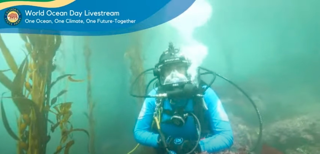 World Ocean Day Diver