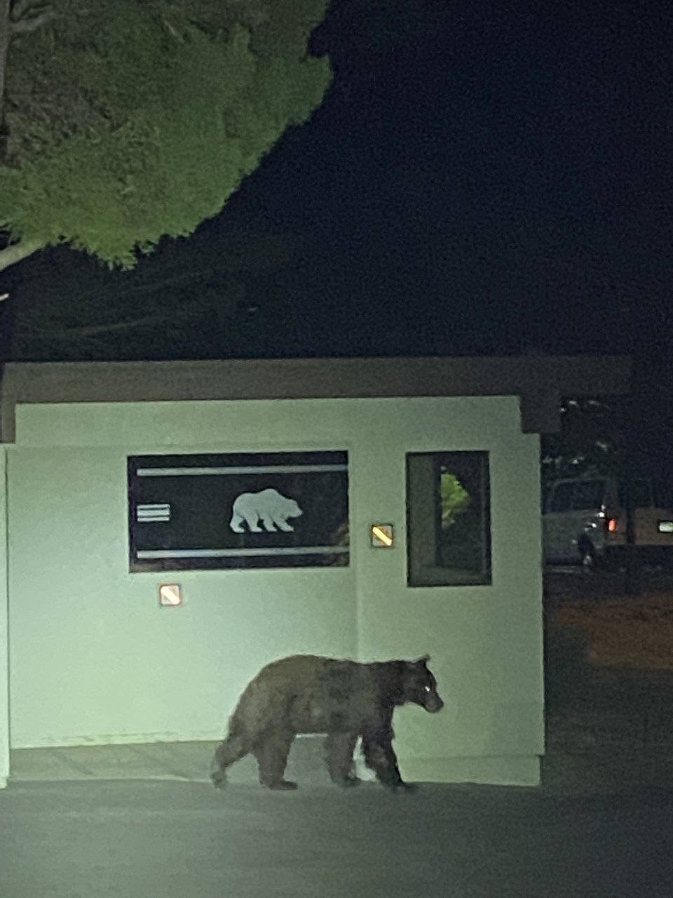 Hearst San Simeon State Historical Monument (Bear)