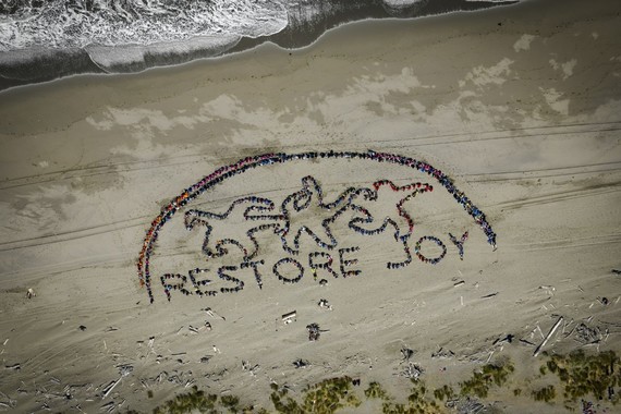 Restore Joy