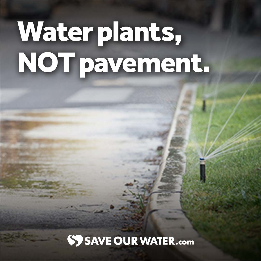 save our water