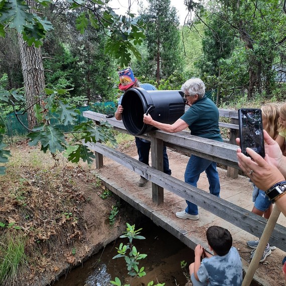 DuckyDerby-Dump-TM (002)