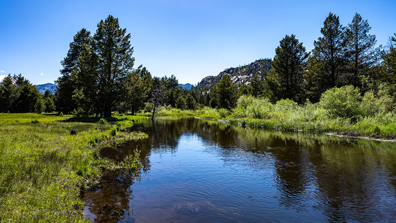 Upper Truckee River 