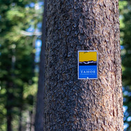 California Tahoe Conservancy sign on tree