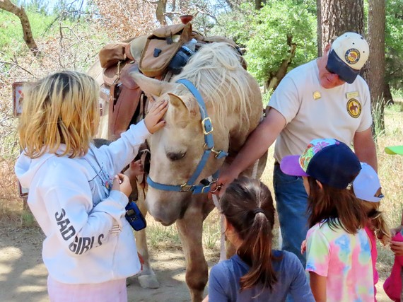 Cuyamaca Rancho SP (Volunteer and horse)