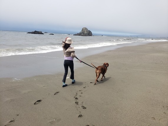 Sonoma Coast SP (Wrights Beach)