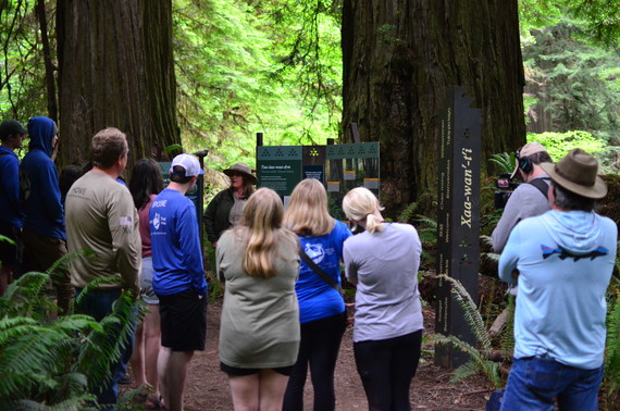 Jedediah Smith Redwoods SP (Grove of the Titans)