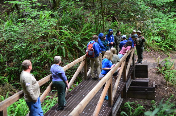 Jedediah Smith Redwoods SP (SMC Group)