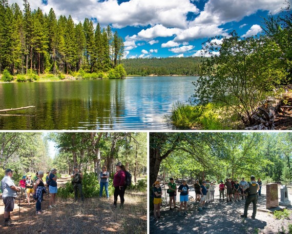 McArthur-Burney Falls Memorial SP (Lake Britton collage)