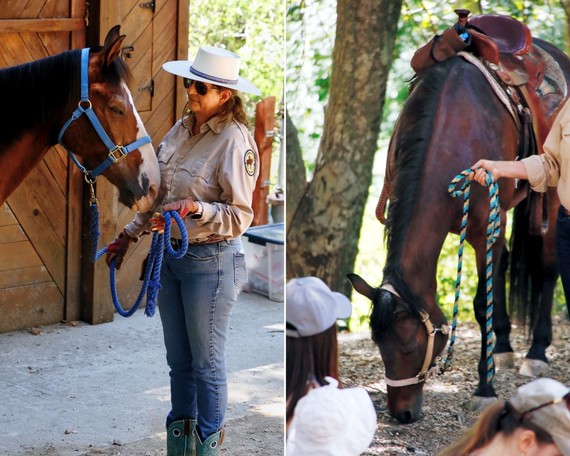 Cuyamaca Rancho SP (Horses 101 collage)