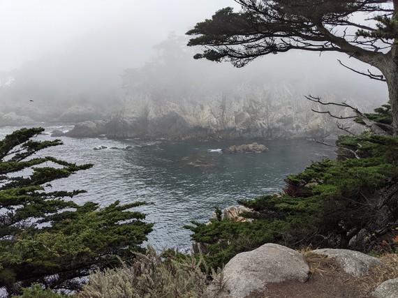 Point Lobos SNR