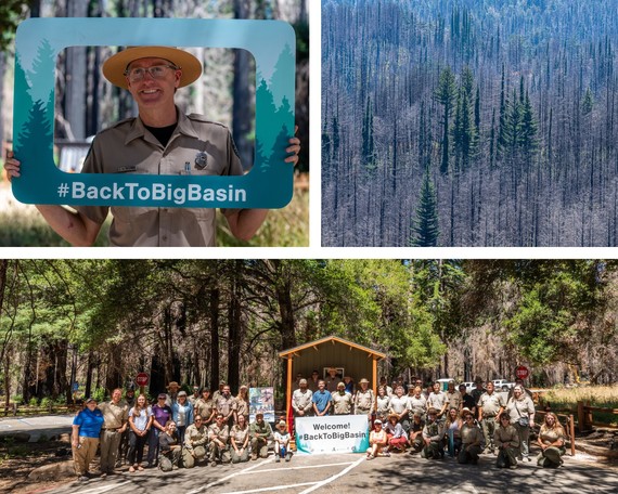 Big Basin Redwoods SP