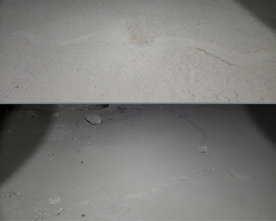 Providence Mountains SRA (Snake track collage)