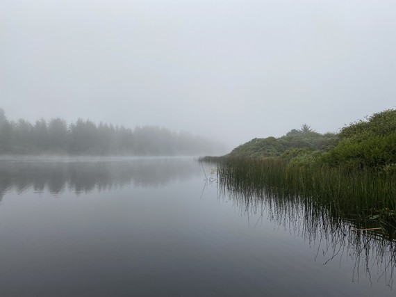 Tolowa Dunes SP (Dead Lake)