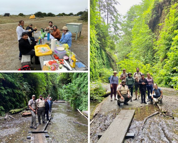 Prairie Creek Redwoods SP (LCW22 - Fern Canyon COLLAGE)