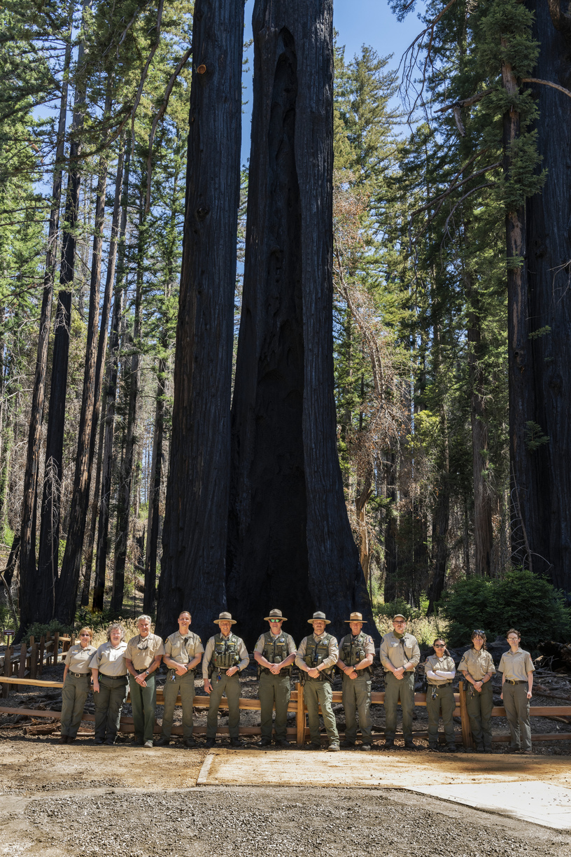 Big Basin Redwoods SP (SC District staff) 090-P111542