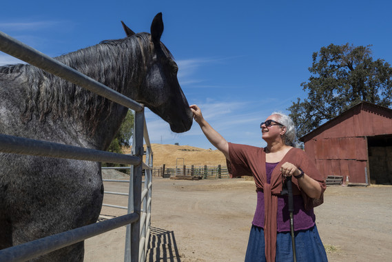 Marsh Creek SHP (elise mcfarland and horse)
