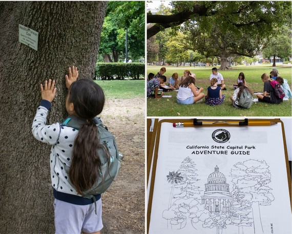 Capitol Park Junior Ranger collage