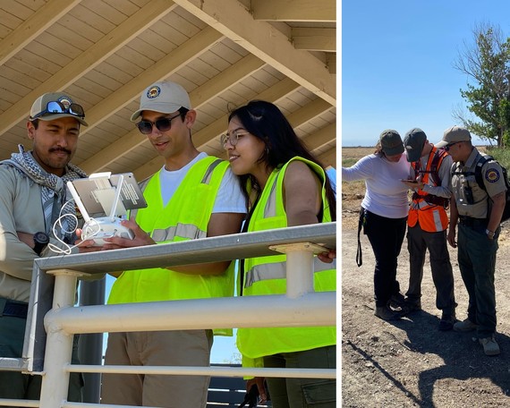 Tule Elk SNR (summer interns collage)