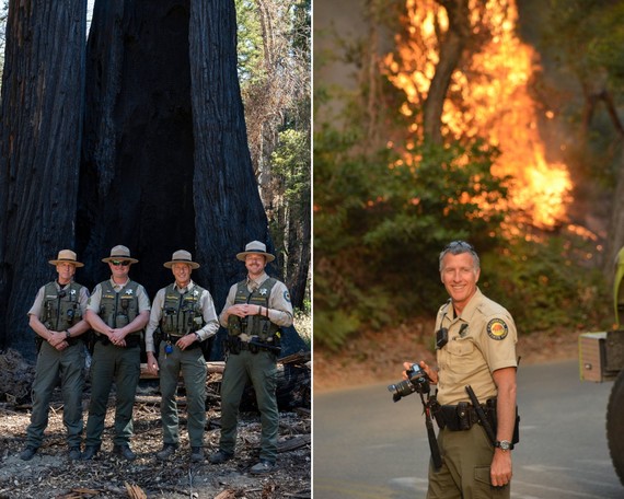 Phil Bergman collage 1