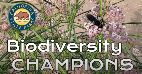 Biodiverstiy Week_biodiversity champions video screenshot