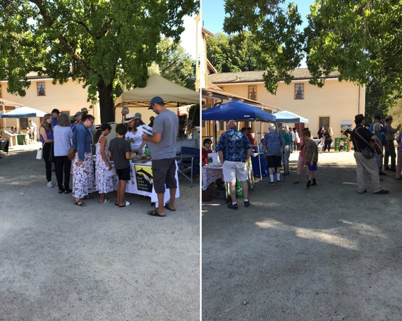 Sonoma SHP (Festival collage 2)