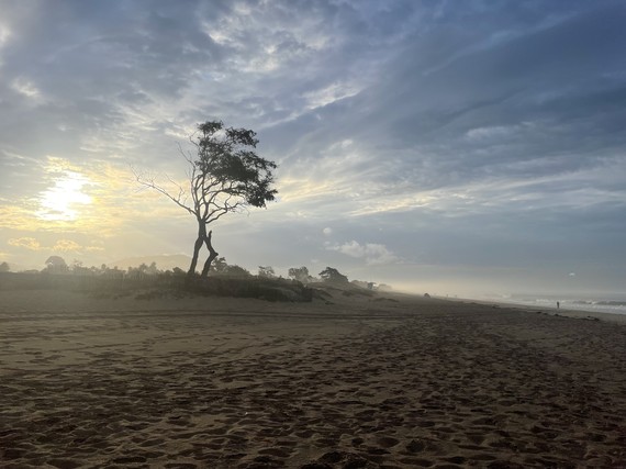 Carpinteria SB (Rain)