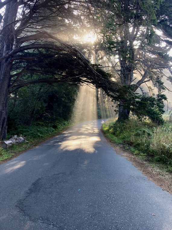 Sue-meg SP (Light beans on road)