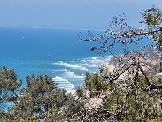 Torrey Pines SNR (Ocean view)