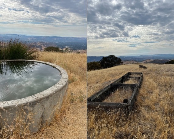 Mount Diablo SP_backcountry trails collage