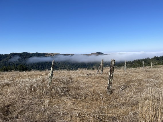 Armstrong Redwoods SNR_Willow Creek