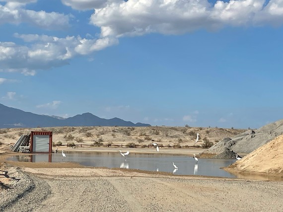 Ocotillo Wells State Vehicular Recreation Area