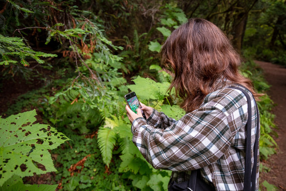 NCRD (BioBlitz Image 1 Cal Poly HUmboldt student)