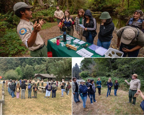 NCRD (BioBlitz collage)