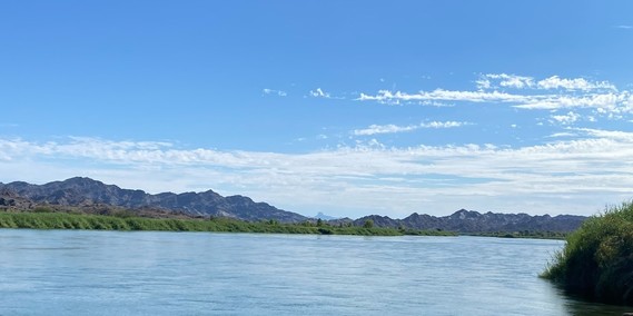Picacho SRA_view across Colorado River 