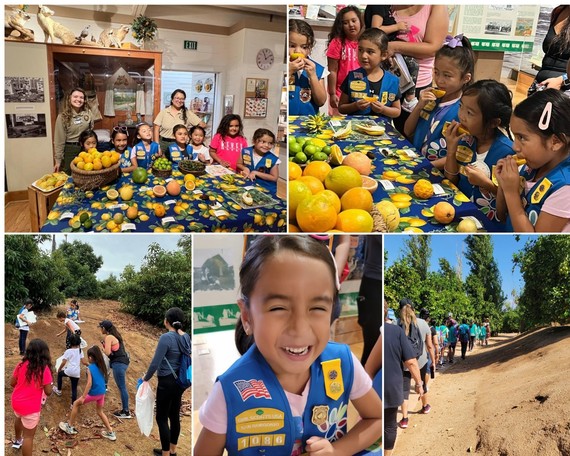 CA Citrus SHP_Girl Scouts collage