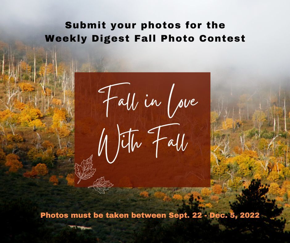 Fall Photo Contest graphic 1