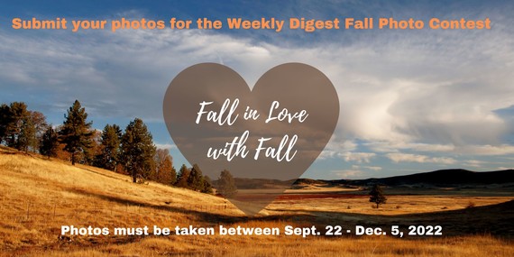 Fall photo contest graphic 3