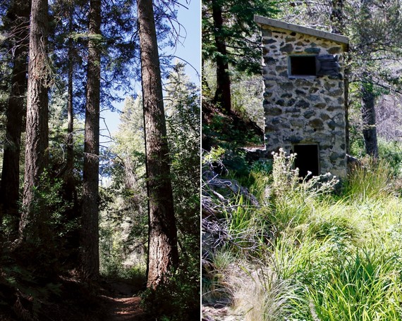 Palomar Mountain SP (collage)