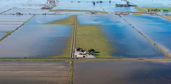 Delta flood image